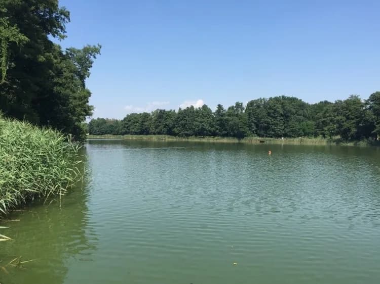 Jezioro Raczyńskie: Odkryj urokliwe miejsca i atrakcje turystyczne