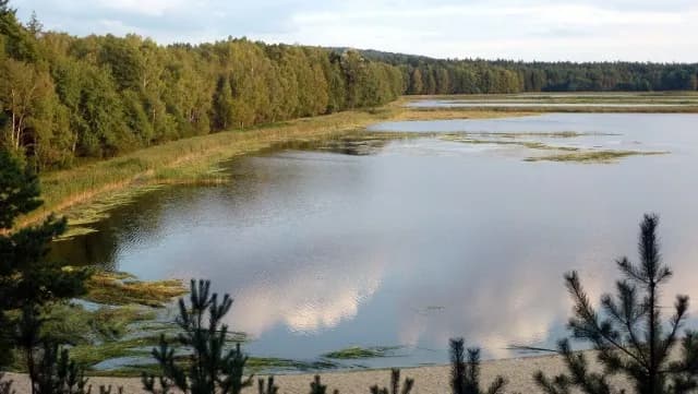 Złocieniec atrakcje: odkryj ukryte skarby i ciekawe miejsca