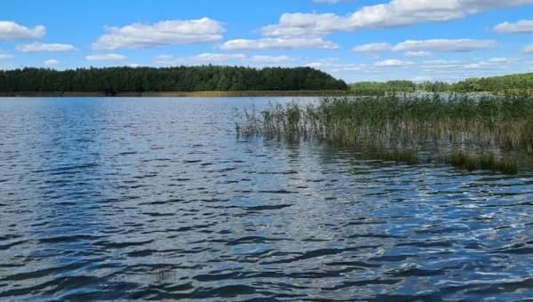 Jezioro Łukcze opinie: czy warto je odwiedzić? Sprawdź, co mówią!