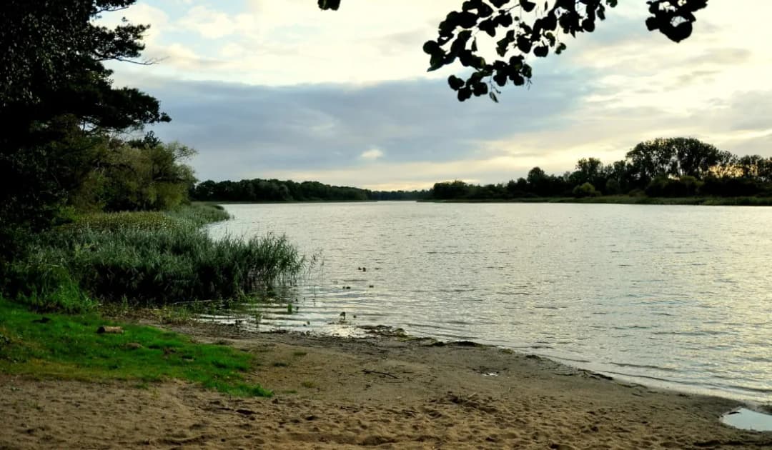 Jezioro Myśliborskie: raj dla wędkarzy i miłośników żeglarstwa