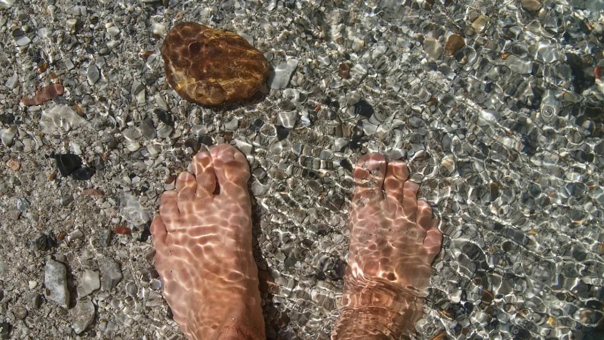 Czyste jezioro kujawsko-pomorskie: odkryj najczystsze akweny w regionie